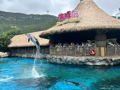 -珠海长隆海洋王国