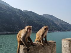 -白帝城·瞿塘峡景区