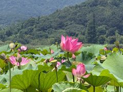 -南北湖风景区