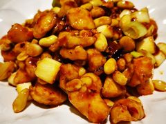 披萨宫保鸡丁-大鸭梨烤鸭(左家庄店)