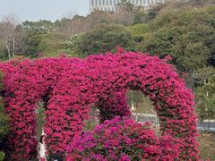 -东莞植物园
