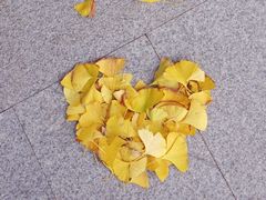 -重庆市江北嘴中央商务区中央公园