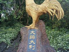 -海口火山口国家地质公园