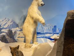 -陕西自然博物馆