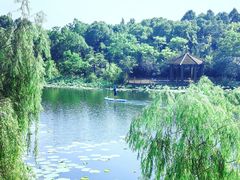 -上海怡沁园度假酒店