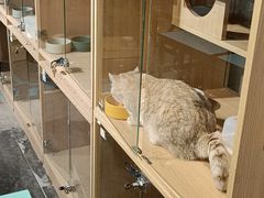 -大型宠物商超·宠海王国·宠物猫狗活体·用品·美容(新世界百货重庆店)