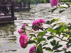 -云龙湖旅游景区