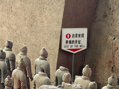 -秦始皇帝陵博物院(兵马俑)