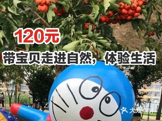 120元带宝贝走进自然，体验生活