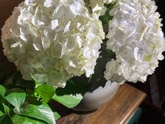 -春暖花开(西溪店)