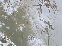 -九峰山
