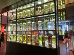 -广东中医药博物馆
