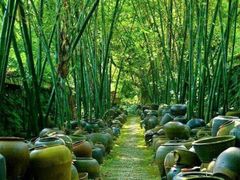 -老木棉·匠园