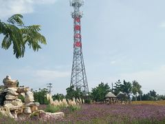 -羊亭河湿地公园