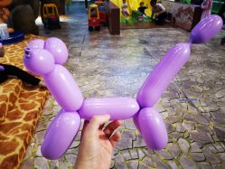 -卡通尼·Safari非洲探索乐园·生日会(金桥国际商业广场店)