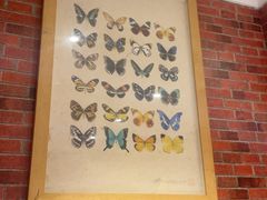 -永兴餐厅(复兴中路店)