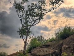 -白水寺森林公园