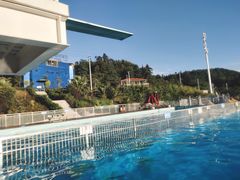 -青鱼湾水上乐园