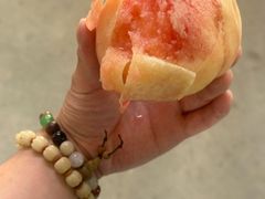 -老袁家蜜桃农场·阳山水蜜桃