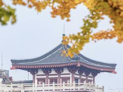 -大雁塔文化休闲景区-北广场