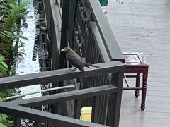 -晓港公园