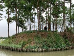 -江门古劳水乡旅游区