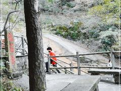 -内乡宝天曼生态旅游区