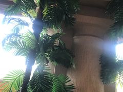 -武汉光谷金盾大酒店-派瑞阁西餐厅