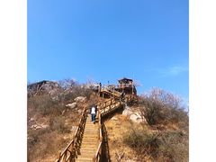 -大岭沟猕猴桃谷风景区