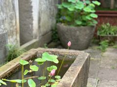 -鸣鹤古镇