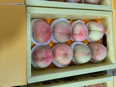 -南汇水蜜桃采摘(大团店)