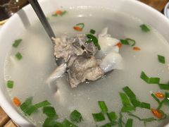 -椿不老