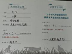 -关爱动物医院·心脏·中兽医·异宠(金牛路分院)