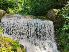 -天女山森林公园