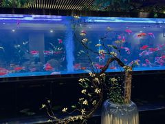 -阳光院坝小龙虾(红牌楼店)