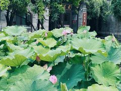 -台儿庄古城