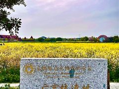 -广富林郊野公园