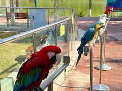 -水上乐园·欢乐世界