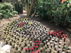 -南山植物园