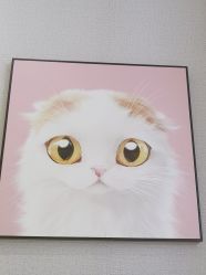 -洗脸猫·洗脸吧