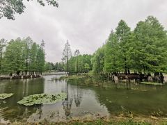 -白塘生态植物园
