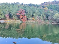 -香山公园