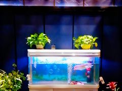 -梵SPA·影院足道·采耳(西藏北路店)