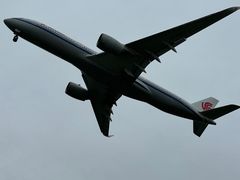 -空港花田景区