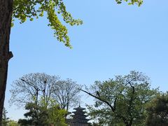 -景福宫