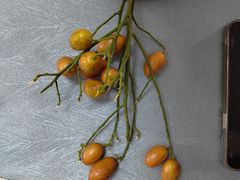 -百果园PAGODA(中铭豪园店)