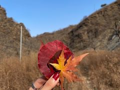 -水峪民俗村