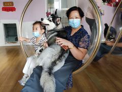 -Husky Go! 哈士奇体验馆·宠物咖啡厅狗咖