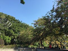 -九龙公园