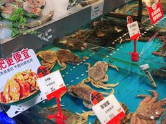 -必点海鲜·鲅鱼水饺(鞍山西道店)